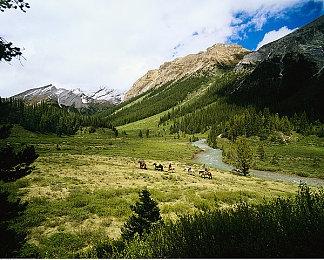 《微软飞行模拟》即将获得DLSS和DX12改进